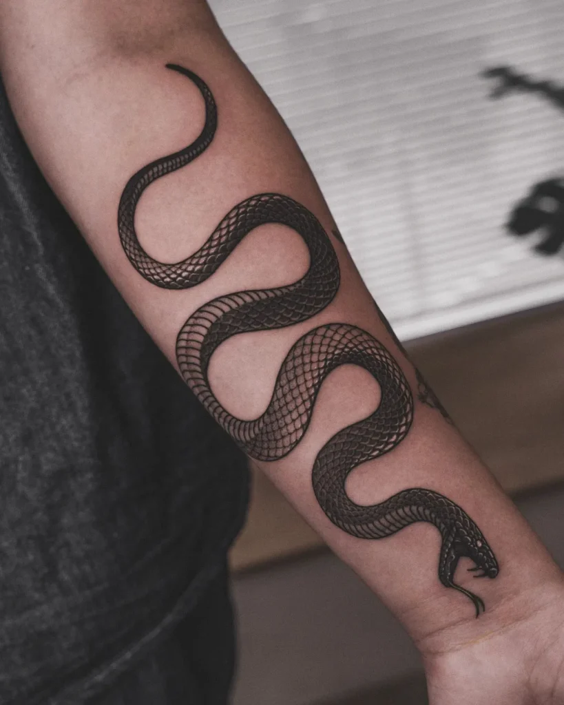 **Elegant Arm Snake**