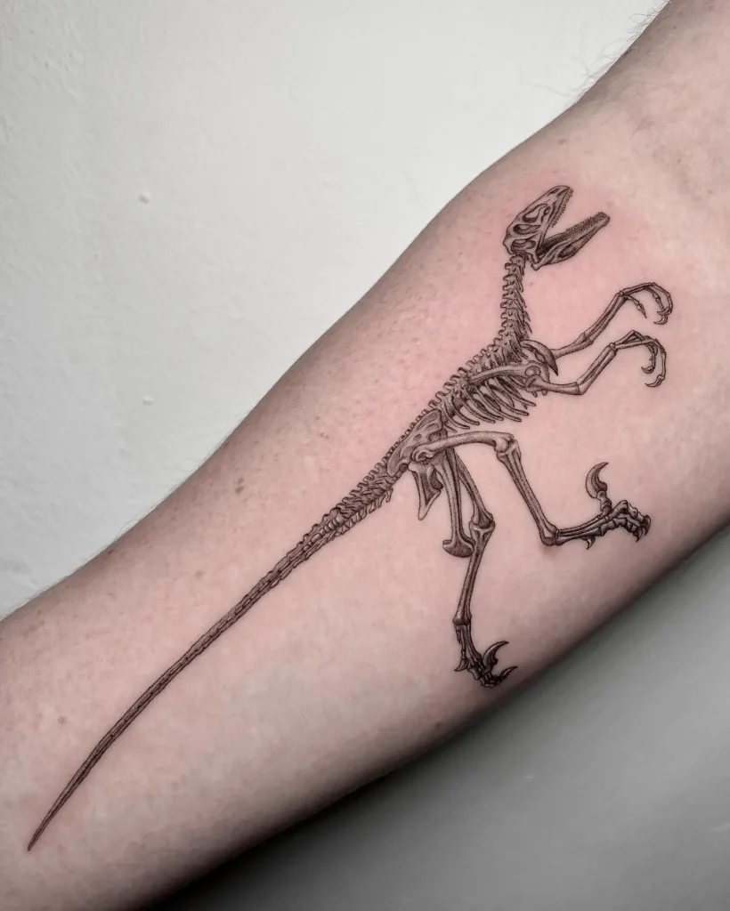 **Velociraptor Skeleton Silhouette**